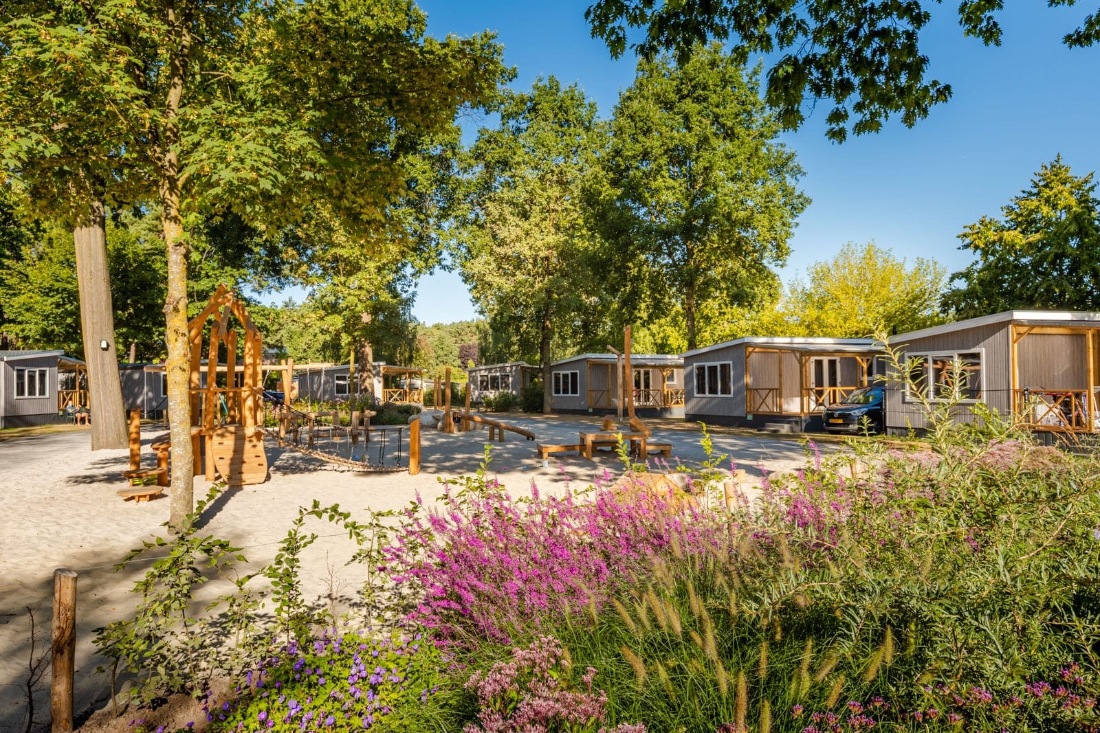 Bos Chalets met groen